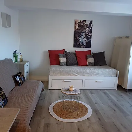 Au Coeur De La Apartment Cours (Rhone)